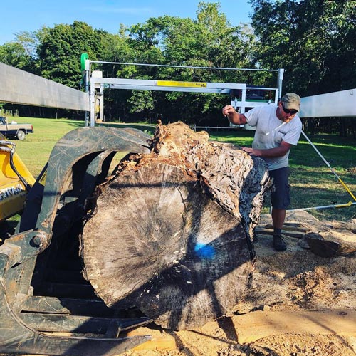 man working on creating slabs from giant tree
